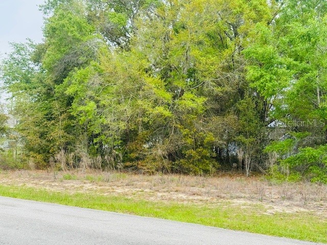 SW 83rd Street Dunnellon FL 34431 OM721493 image3
