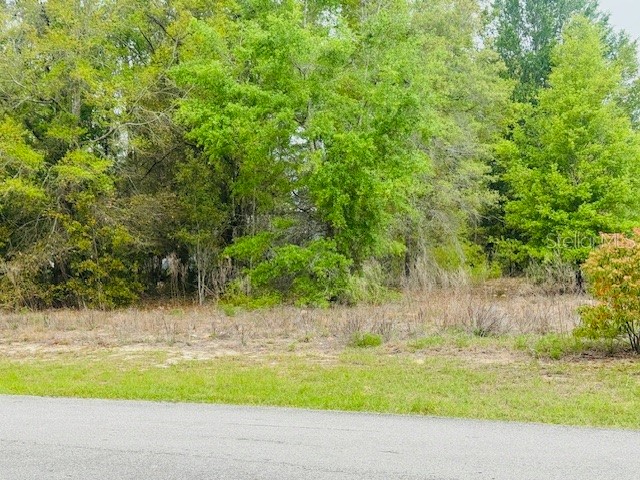 SW 83rd Street Dunnellon FL 34431 OM721493 image4