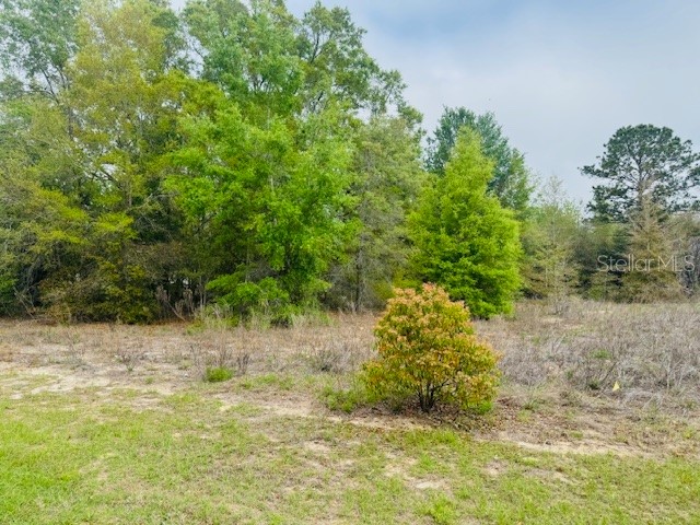 SW 83rd Street Dunnellon FL 34431 OM721493 image5