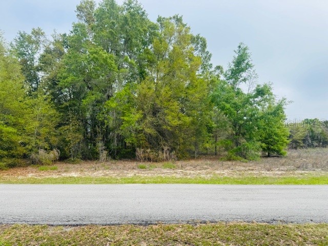 SW 83rd Street Dunnellon FL 34431 OM721493 image6
