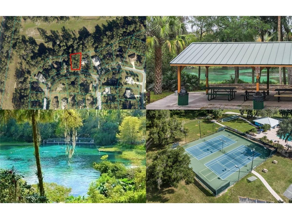 SW 85 Loop Dunnellon FL 34432 - RAINBOW RIVER OM698531 image1