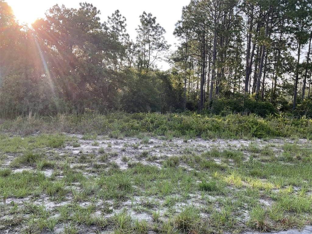 Sw 85th Court Dunnellon FL 34432 O6117510 image1