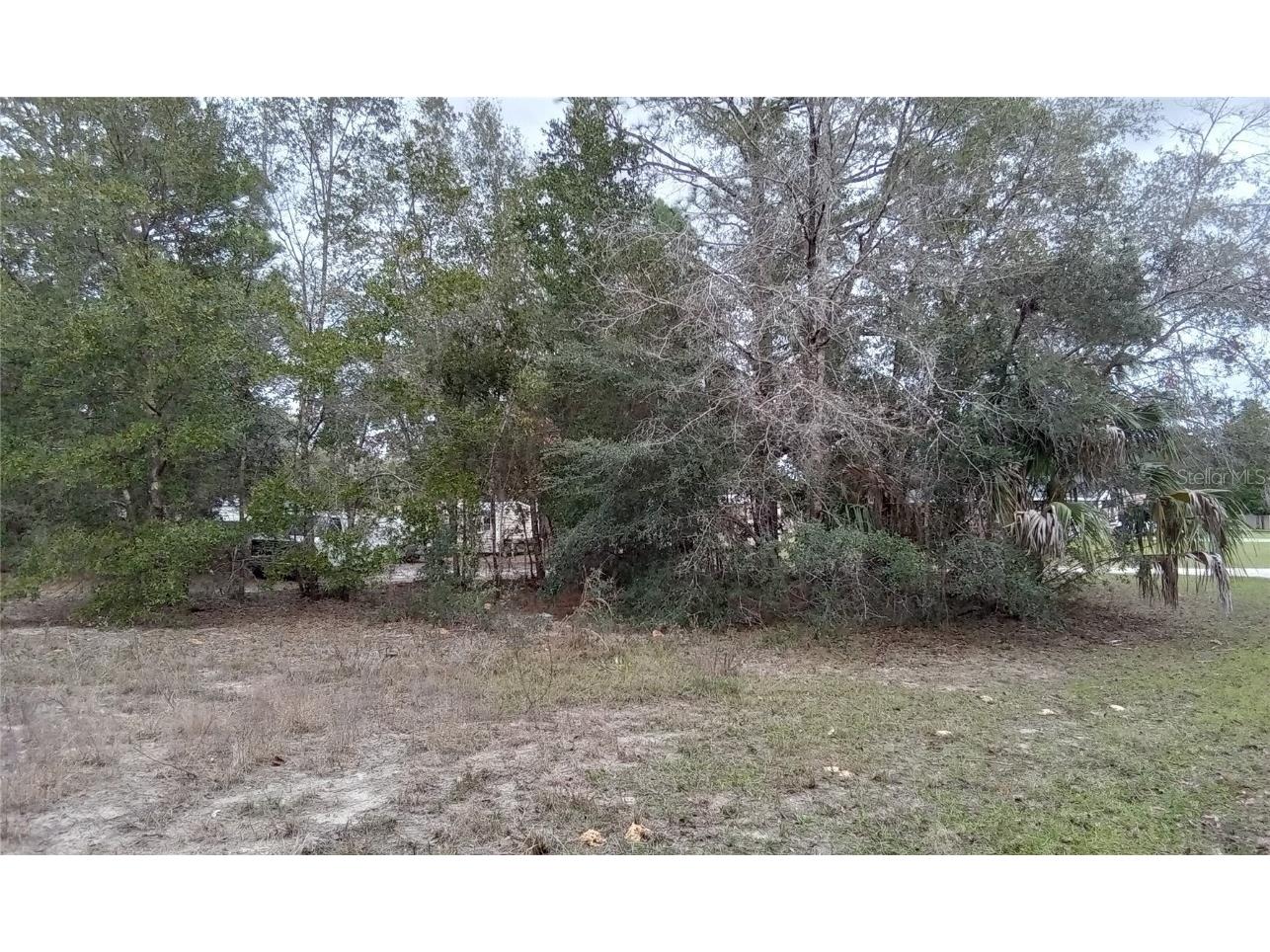 Sw 85th Pl Dunnellon FL 34431 OM673083 image1