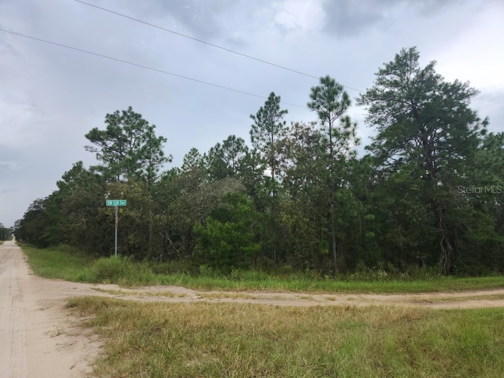 SW 85th Place Dunnellon FL 34432 OM686720 image1