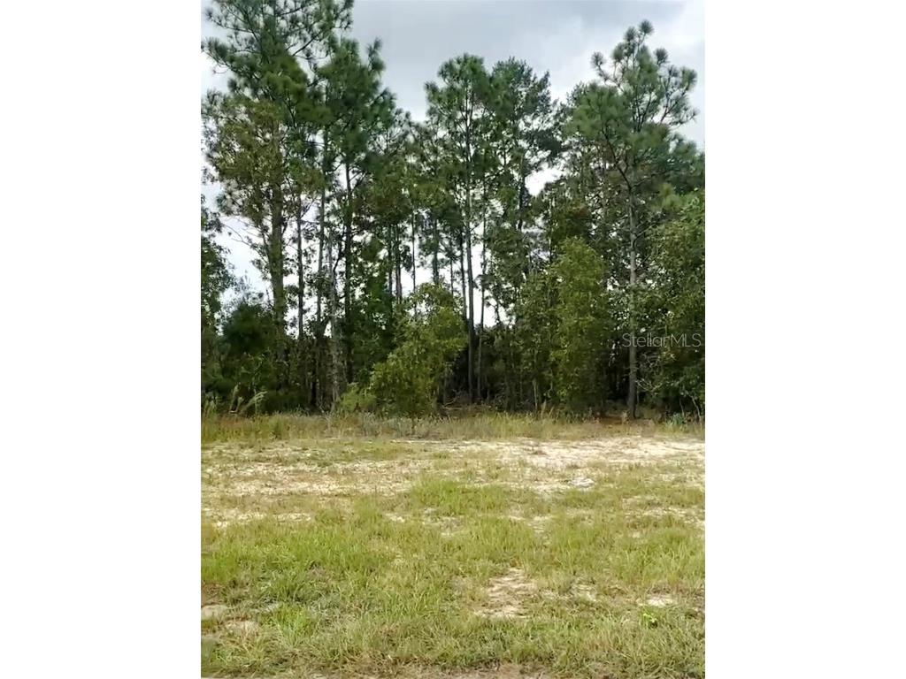 Sw 86th Ave Unit 12 Lot 26 Ocala FL 34473 O6262473 image1
