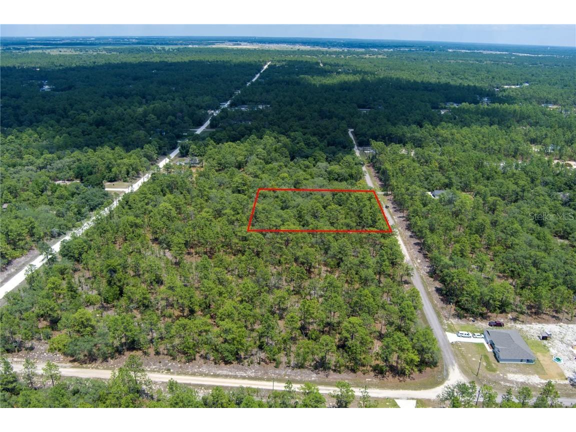 SW 87th Street Dunnellon FL 34432 A4654911 image1