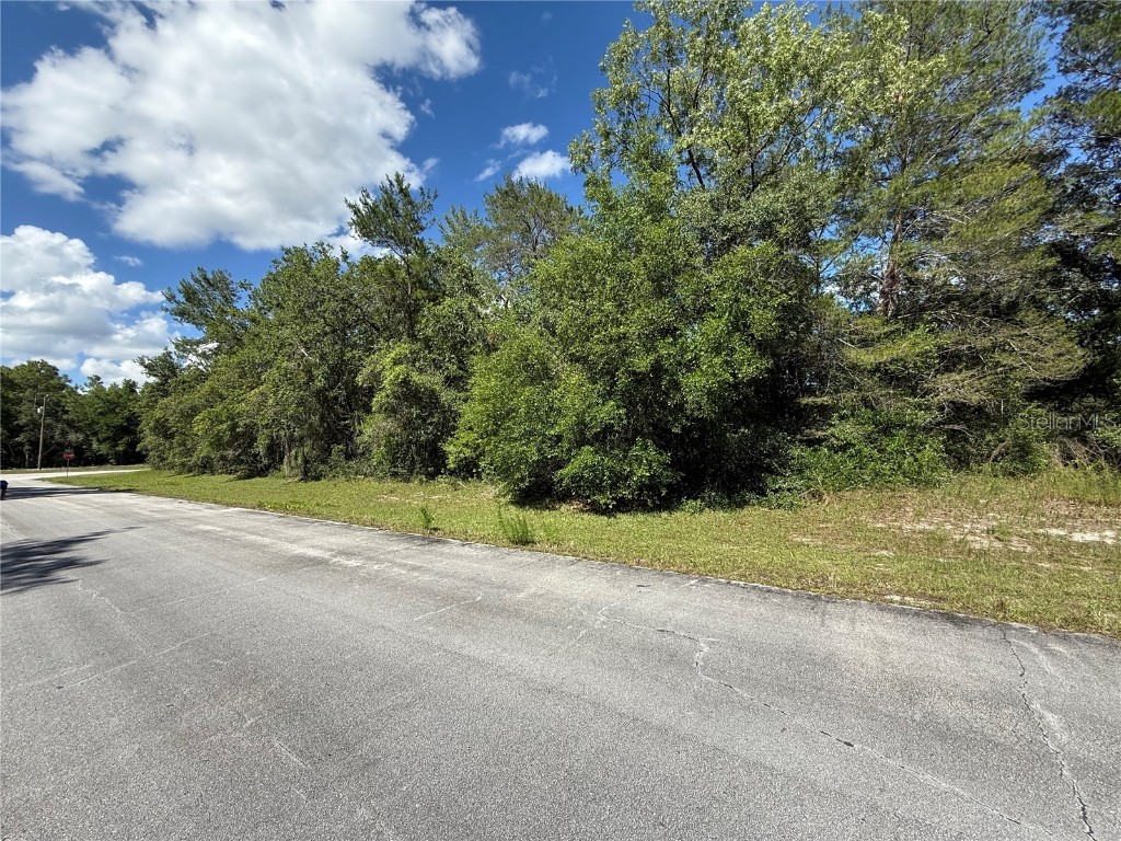 SW 88th Avenue Ocala FL 34473 OM701539 image2