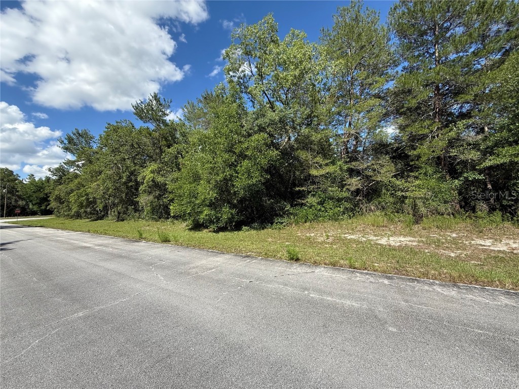 SW 88th Avenue Ocala FL 34473 OM701539 image4