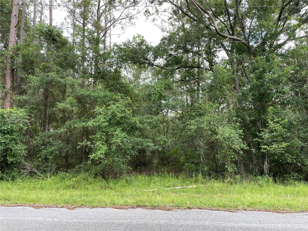 SW 88th Ln Rd Dunnellon FL 34431 OM642010 image1