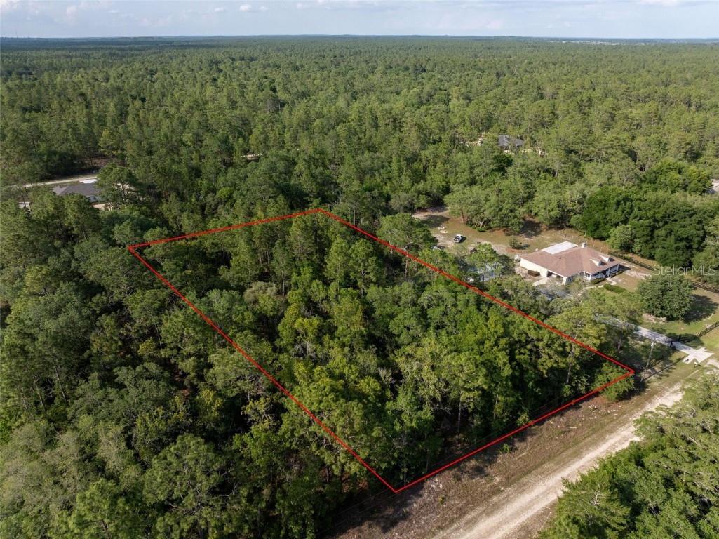 Sw 88th Street Dunnellon FL 34432 OM678159 image1