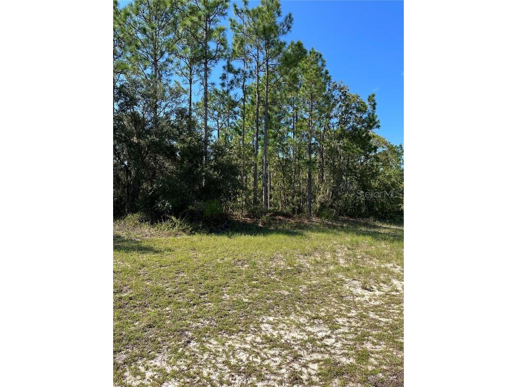 SW 89 Circle Ocala FL 34473 T3470312 image1