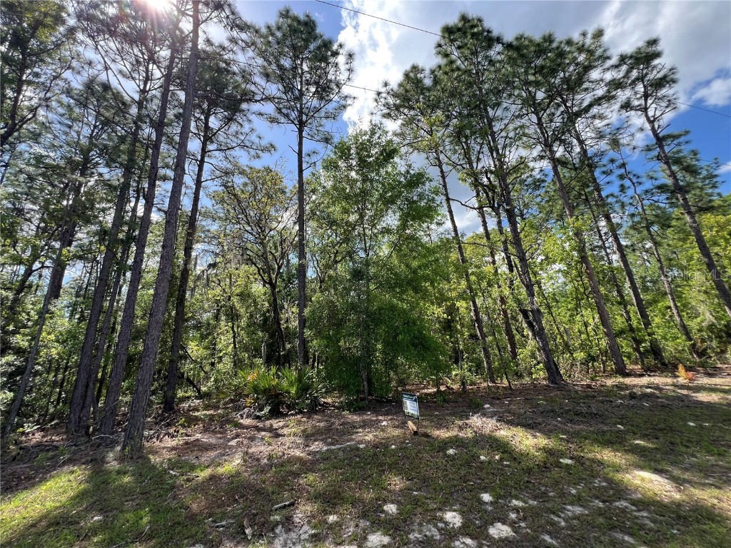 SW 89 Circle Ocala FL 34473 OM699087 image10