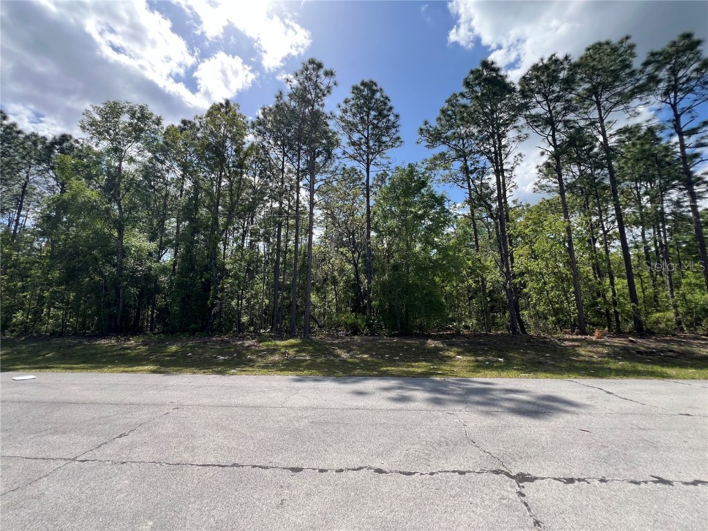 SW 89 Circle Ocala FL 34473 OM699087 image2