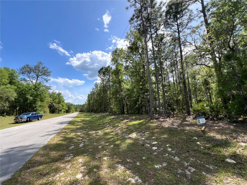 SW 89 Circle Ocala FL 34473 OM699087 image8