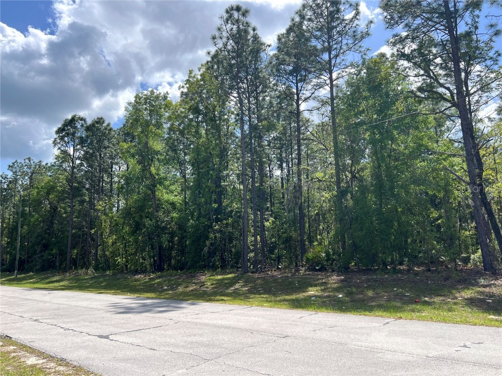 SW 89 Circle Ocala FL 34473 OM699087 image9