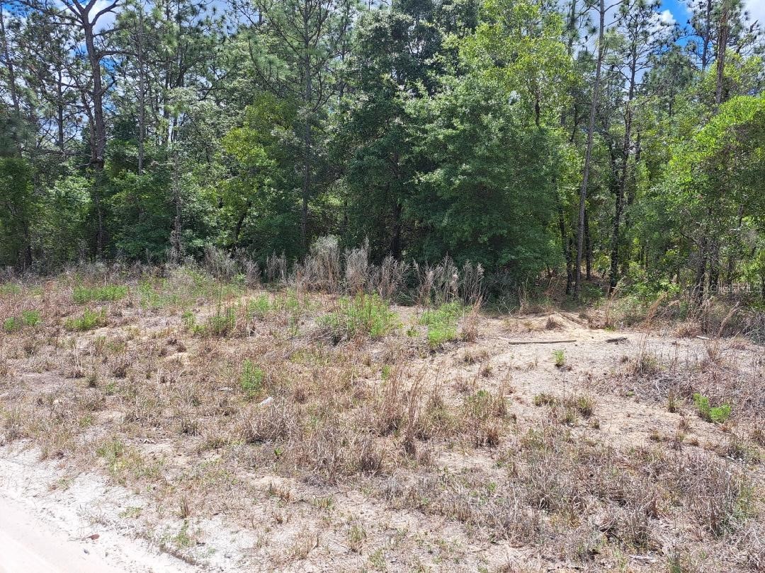 SW 89 Street Dunnellon FL 34432 OM723699 image3