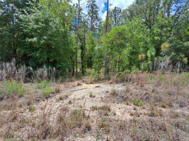 SW 89 Street Dunnellon FL 34432 OM723699 image4