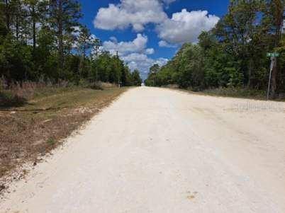SW 89 Street Dunnellon FL 34432 OM723699 image5