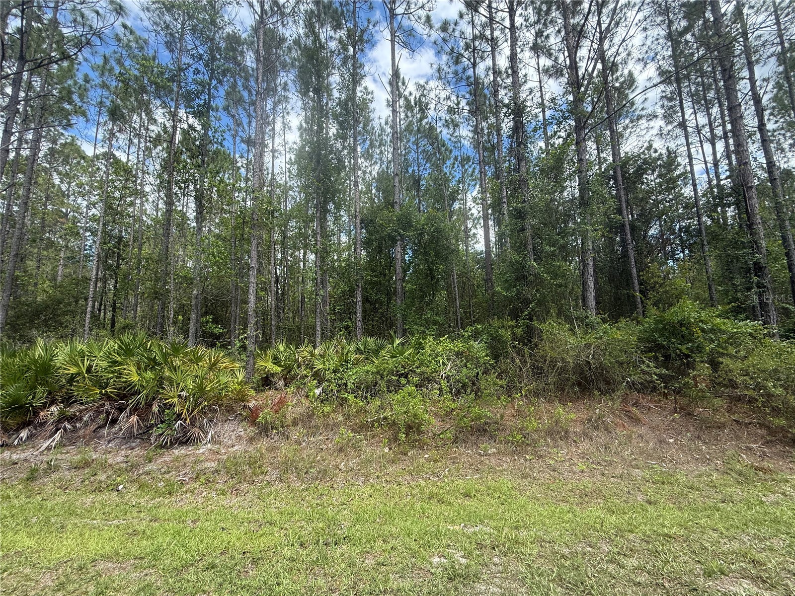 SW 89th Street Lake Butler FL 32054 GC540912 image1