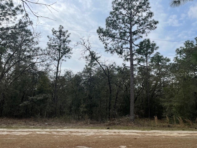 SW 90 Place Dunnellon FL 34432 OM677617 image1