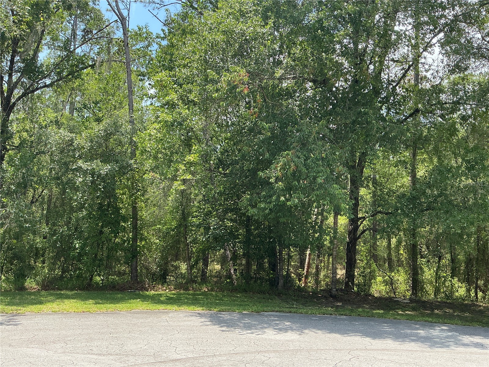 SW 90th Place Dunnellon FL 34431 OM728568 image1