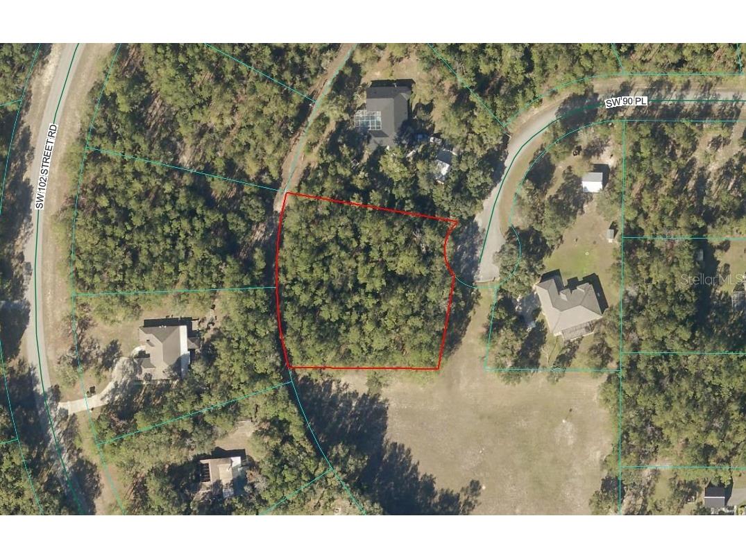 SW 90th Place Dunnellon FL 34431 OM728568 image2