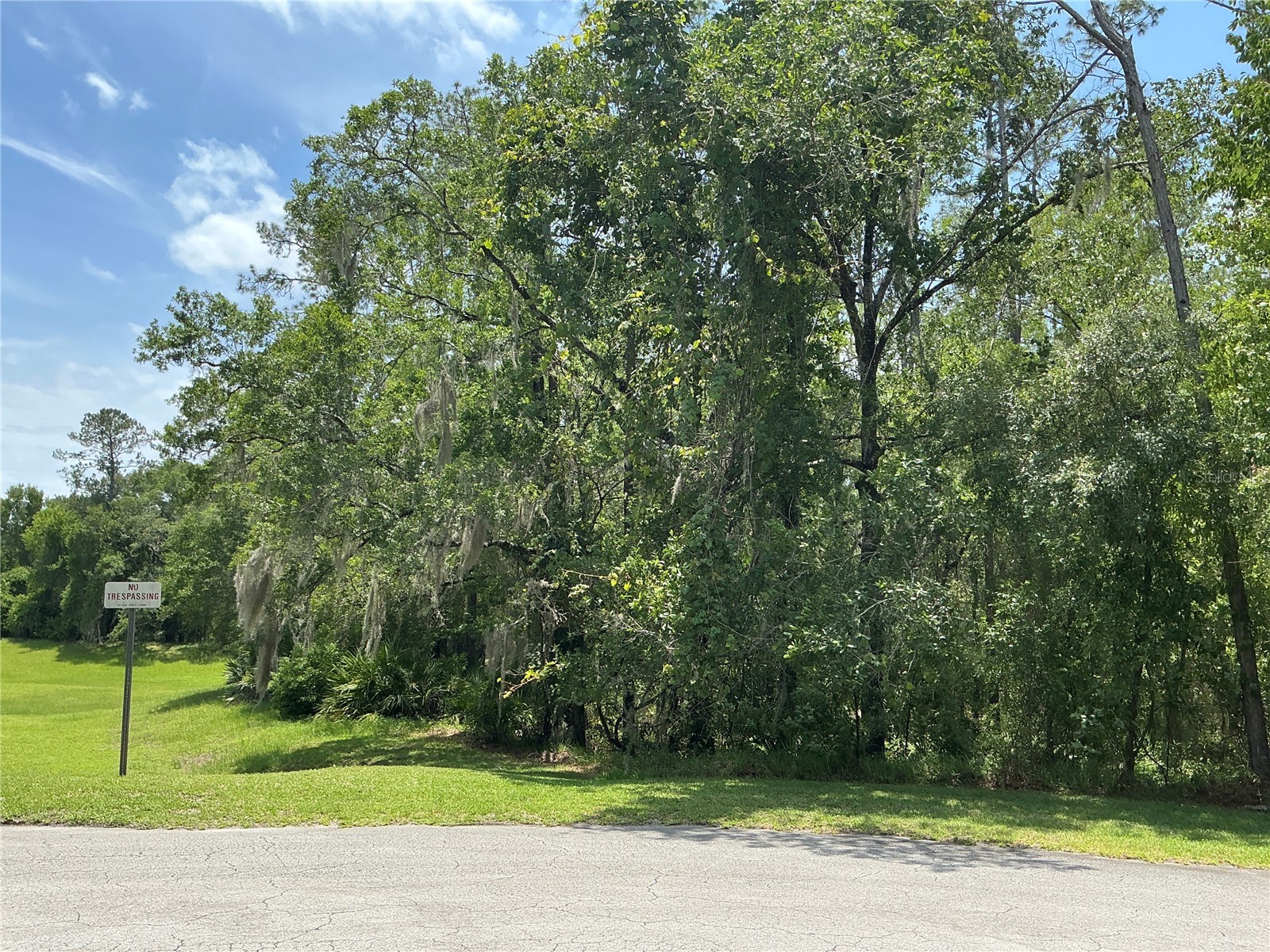 SW 90th Place Dunnellon FL 34431 OM728568 image3