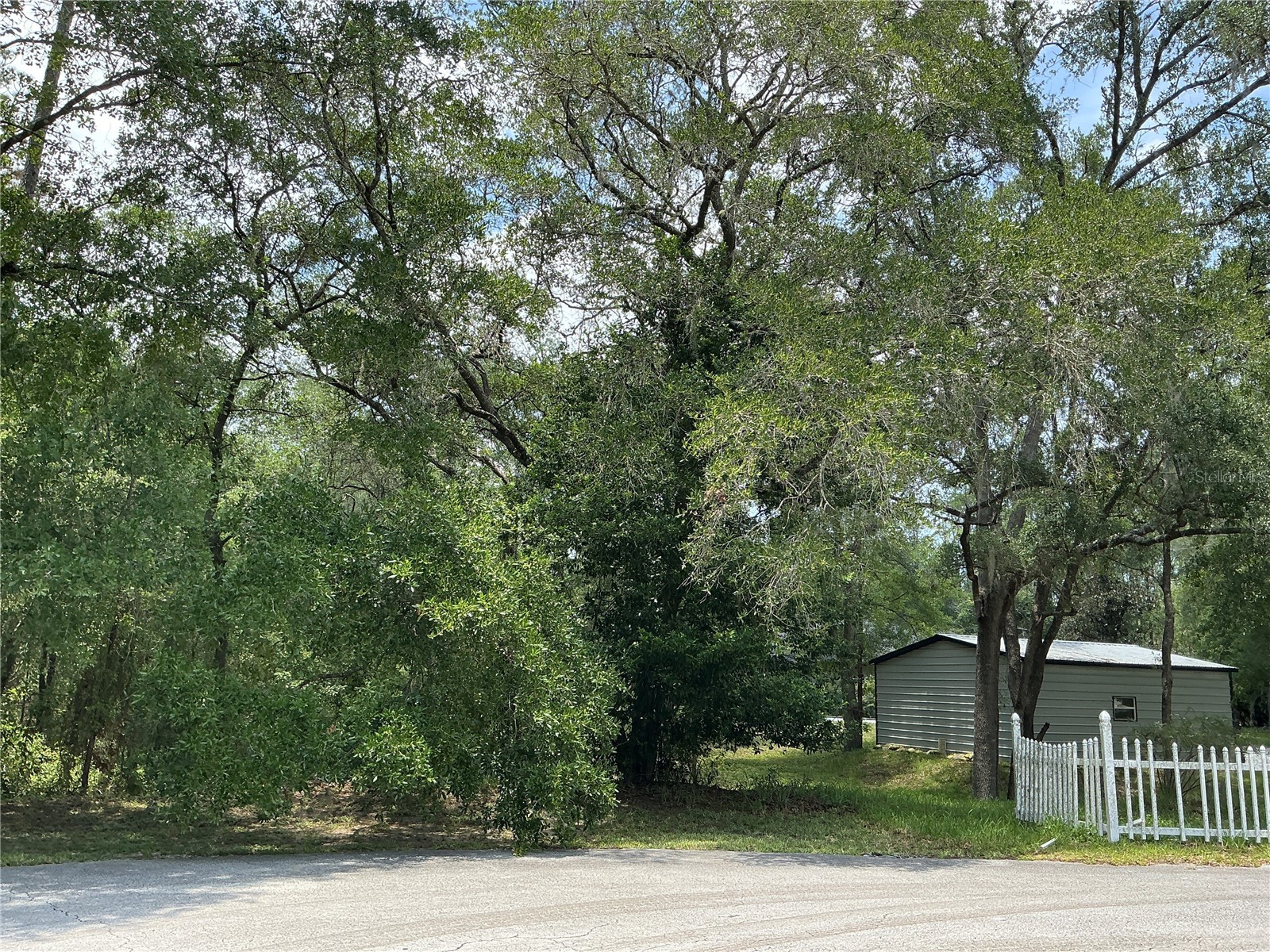 SW 90th Place Dunnellon FL 34431 OM728568 image4