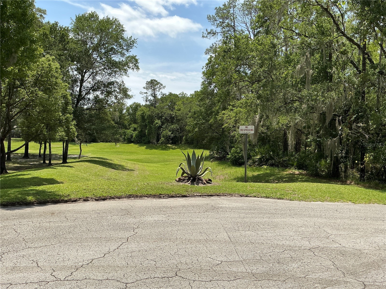 SW 90th Place Dunnellon FL 34431 OM728568 image6