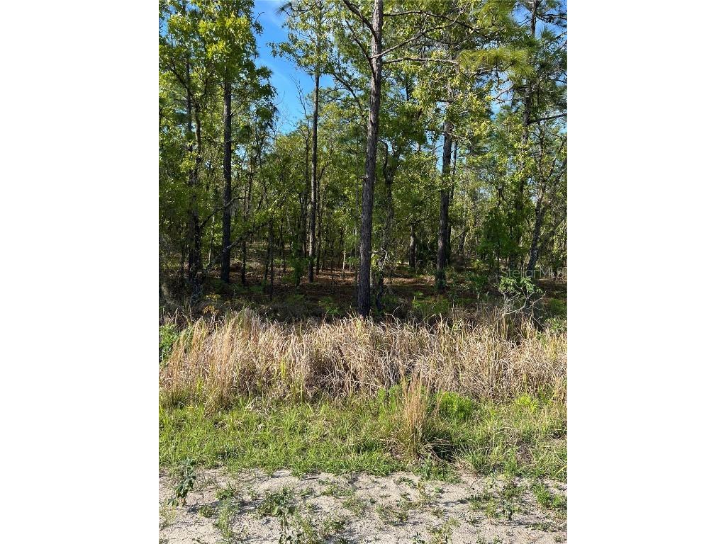 Sw 91st Lane Dunnellon FL 34430 U8195181 image1