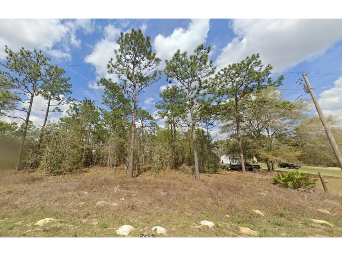 SW 94th Lane Dunnellon FL 34432 TB8303686 image1