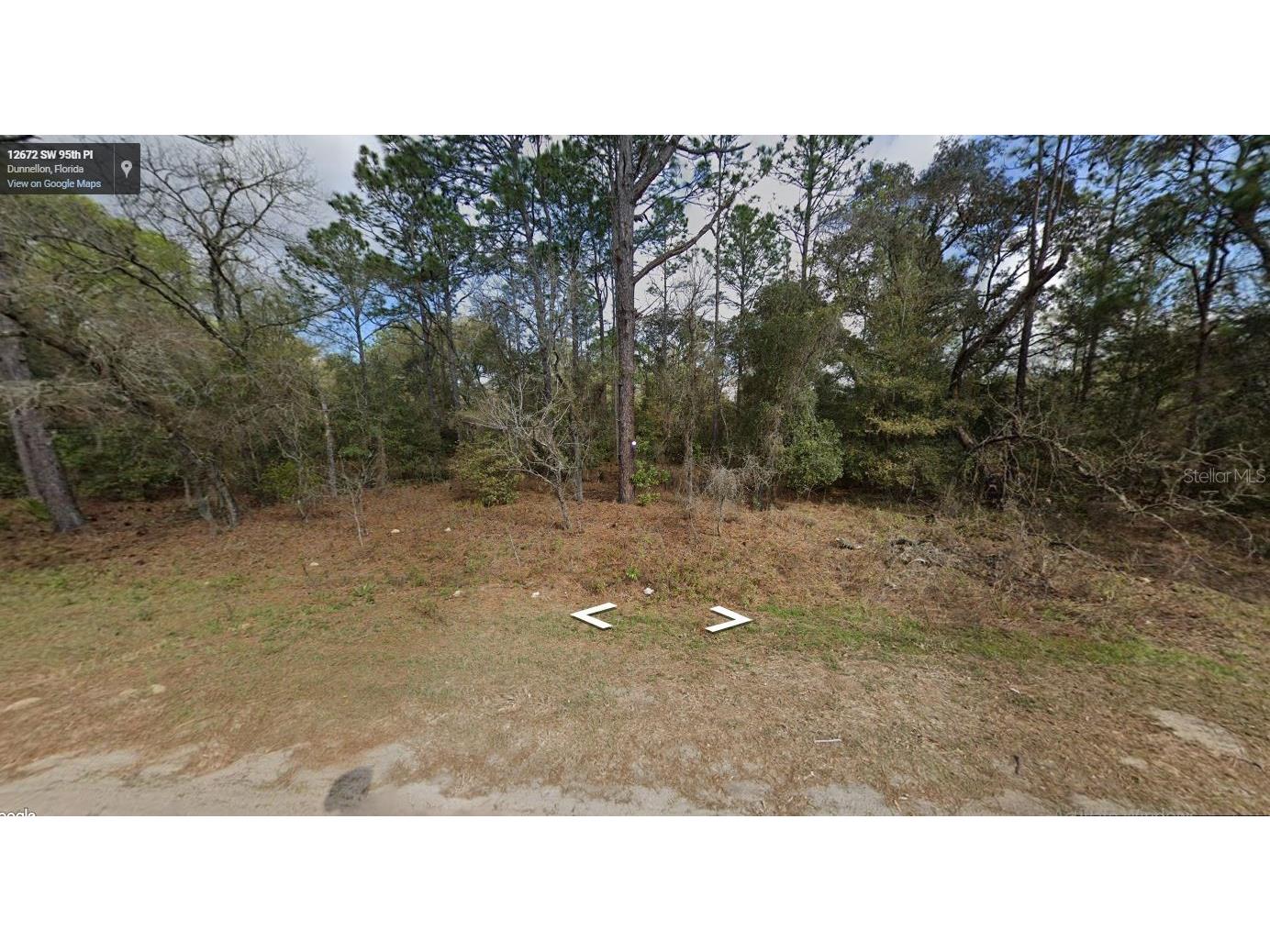 SW 95 Place Ocala FL 34481 O6199019 image1