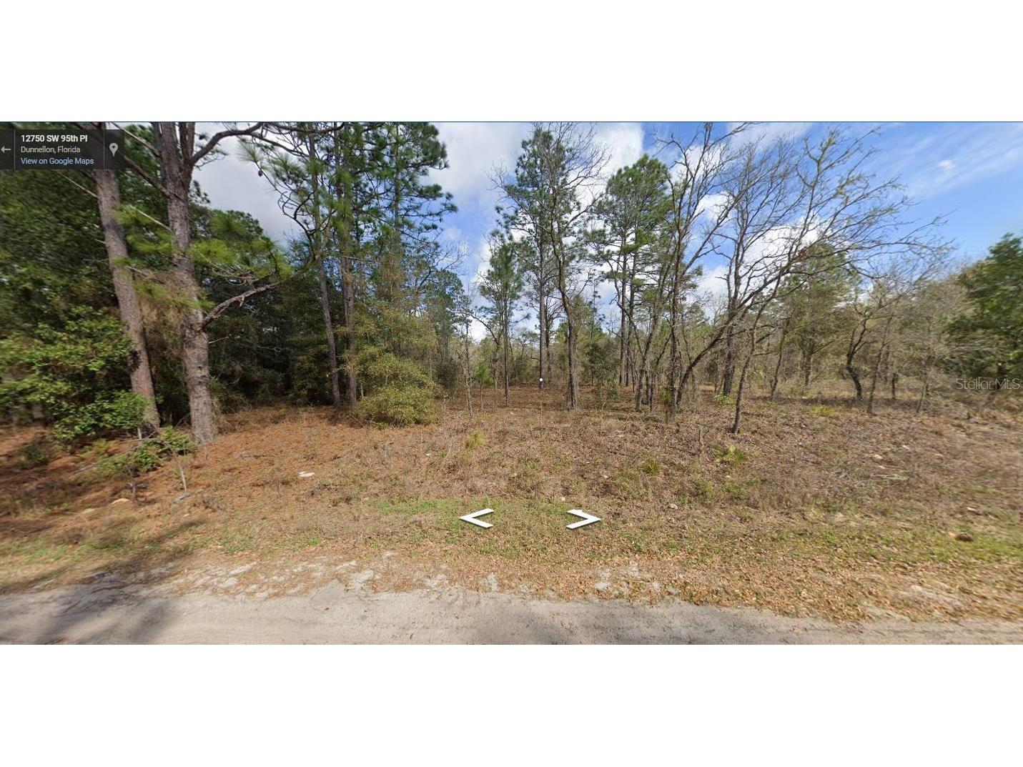 Sw 95th Pl Dunnellon FL 34432 O6236317 image1