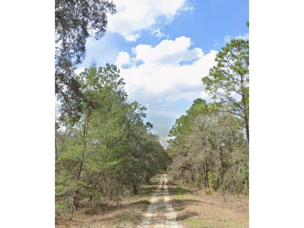 Sw 95th Pl Dunnellon FL 34431 OM683404 image1