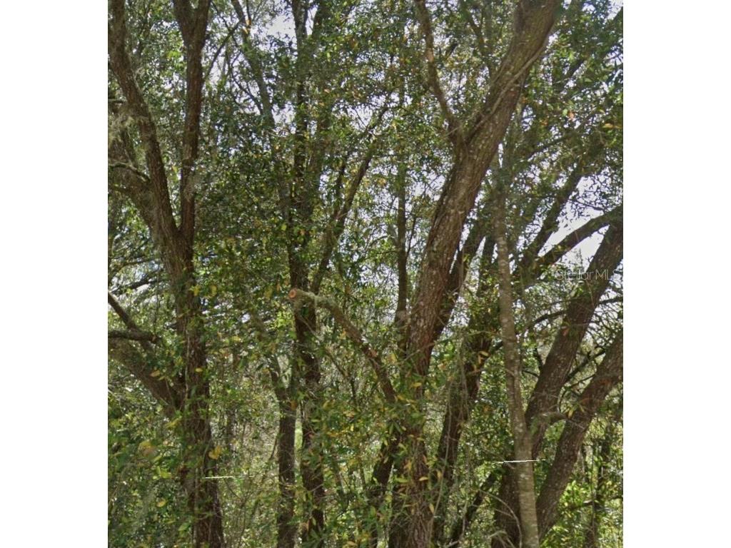 Sw 95th Pl Dunnellon FL 34431 OM683404 image4