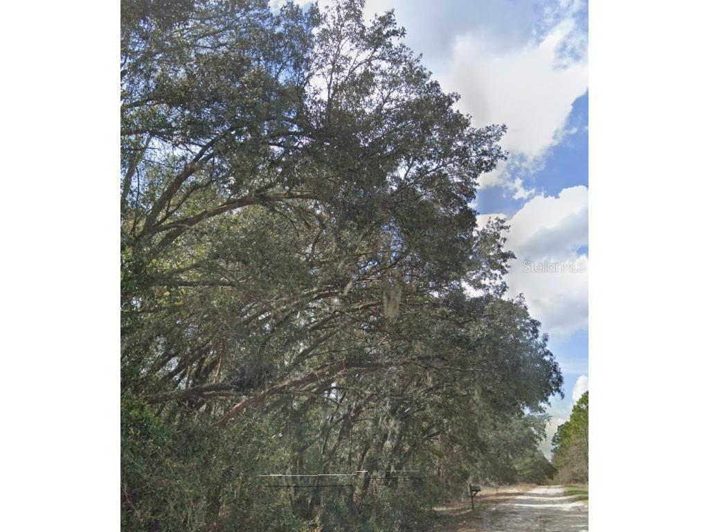 Sw 95th Pl Dunnellon FL 34431 OM683404 image5