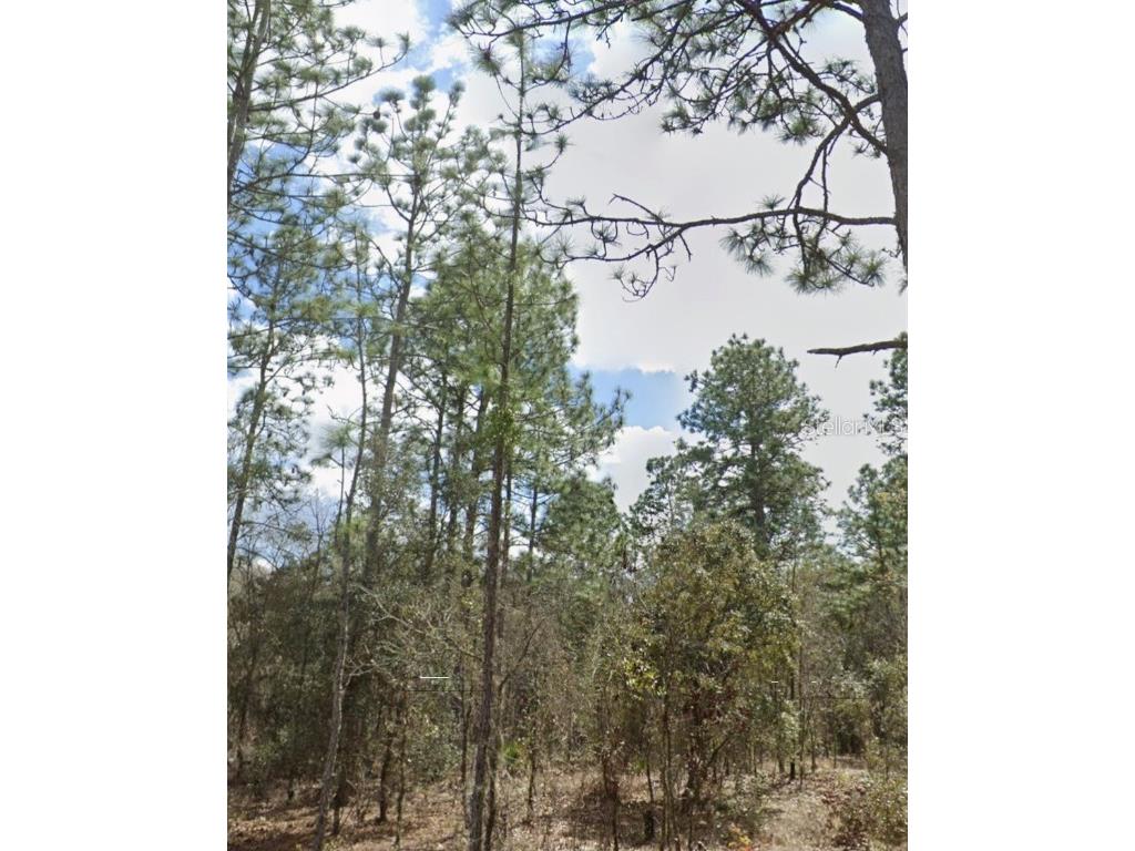 Sw 95th Pl Dunnellon FL 34431 OM683404 image7