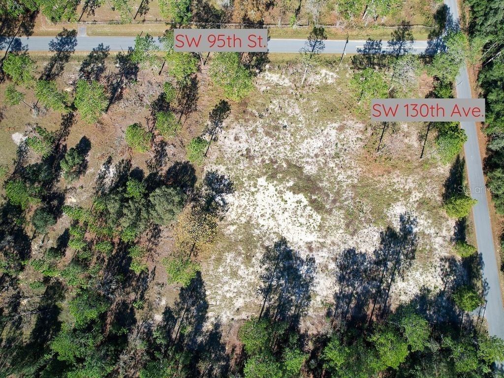 SW 95th Street Dunnellon FL 34432 O6101936 image1