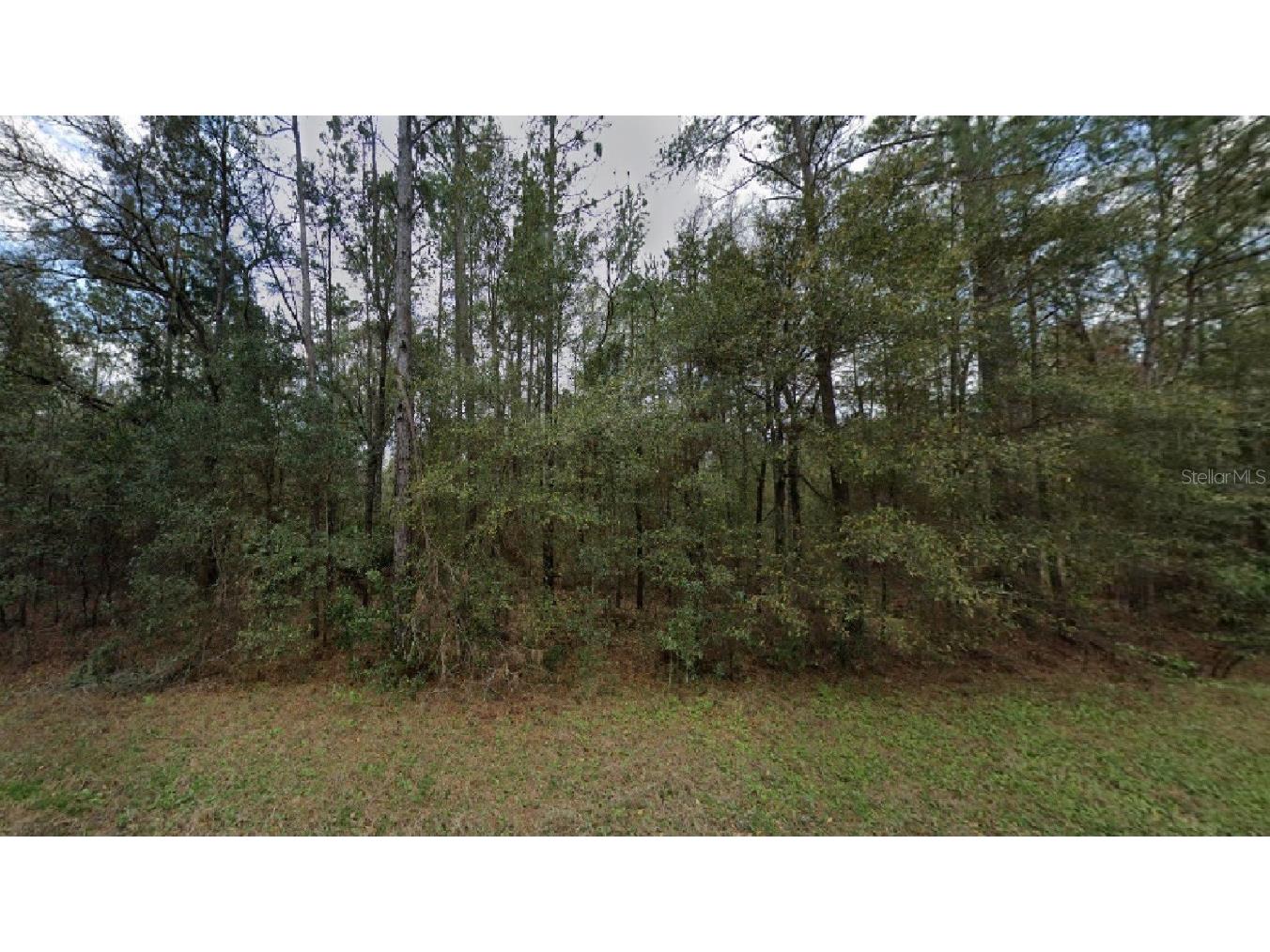 SW 96th Lane Dunnellon FL 34432 O6159579 image1