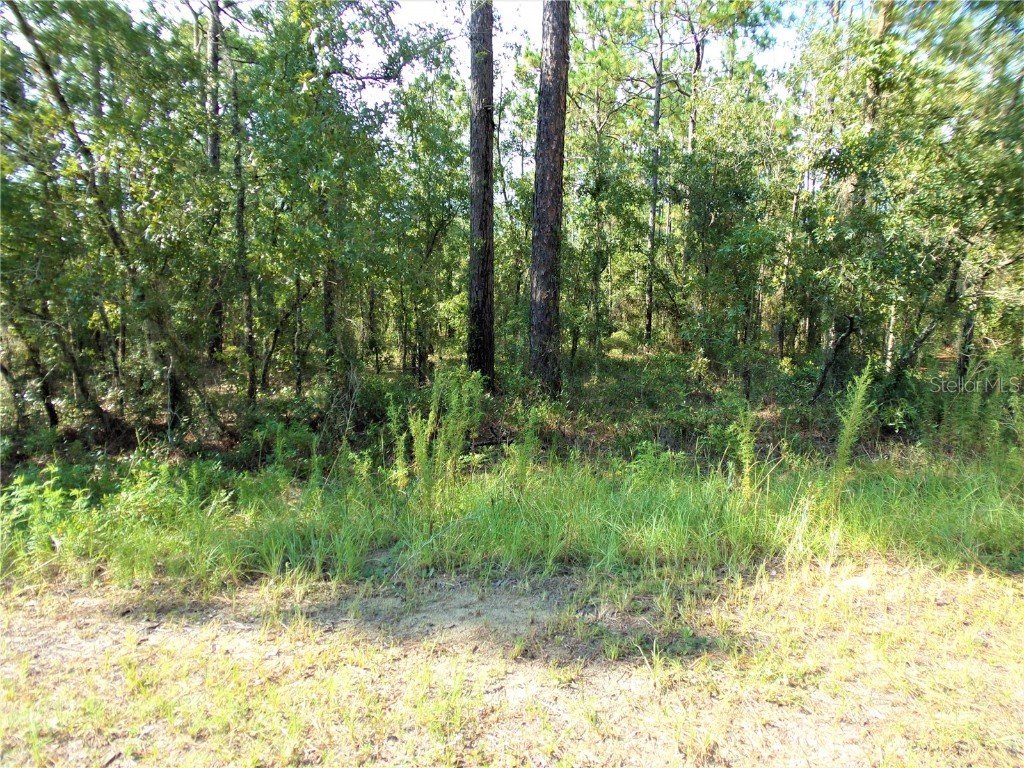 SW 96th Lane Dunnellon FL 34432 OM638035 image1