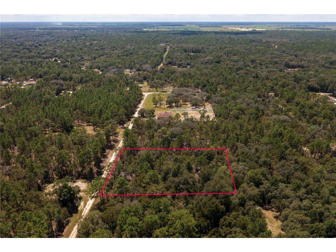 SW 96th Lane Dunnellon FL 34432 OM662737 image1