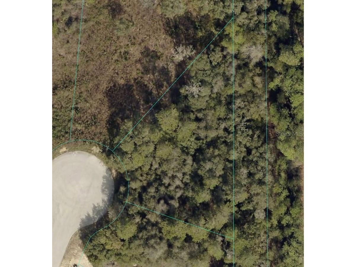Sw 98th Place Ocala FL 34476 TB8477805 image2