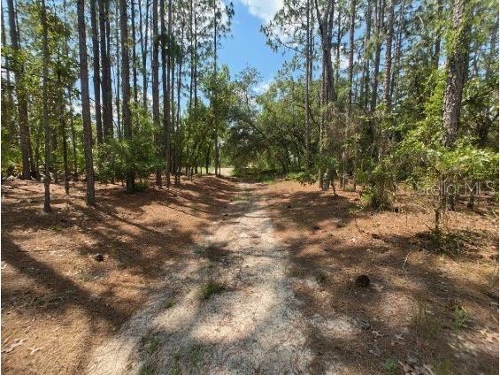 Sw 99th Lane Dunnellon FL 34432 T3545210 image1