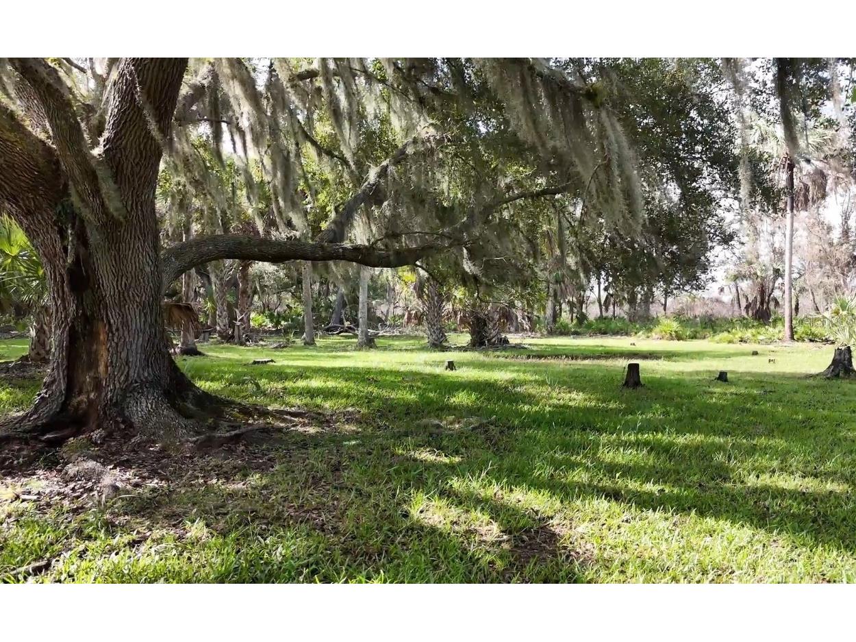 SW Addison Avenue #A Arcadia FL 34266 - PEACE RIVER C7498337 image1