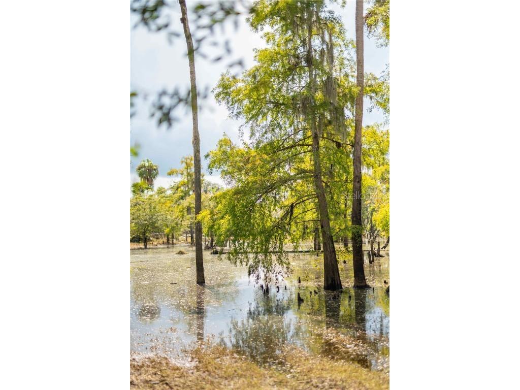 SW Addison Avenue #A Arcadia FL 34266 - PEACE RIVER C7498337 image11