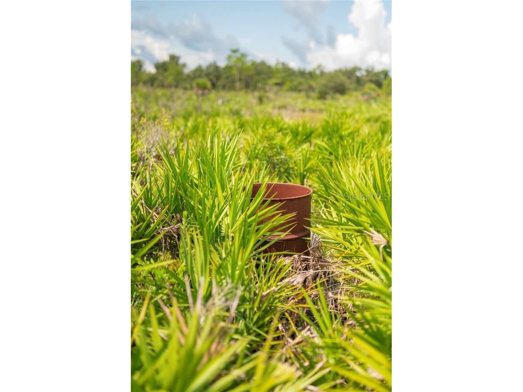 SW Addison Avenue #A Arcadia FL 34266 - PEACE RIVER C7498337 image12