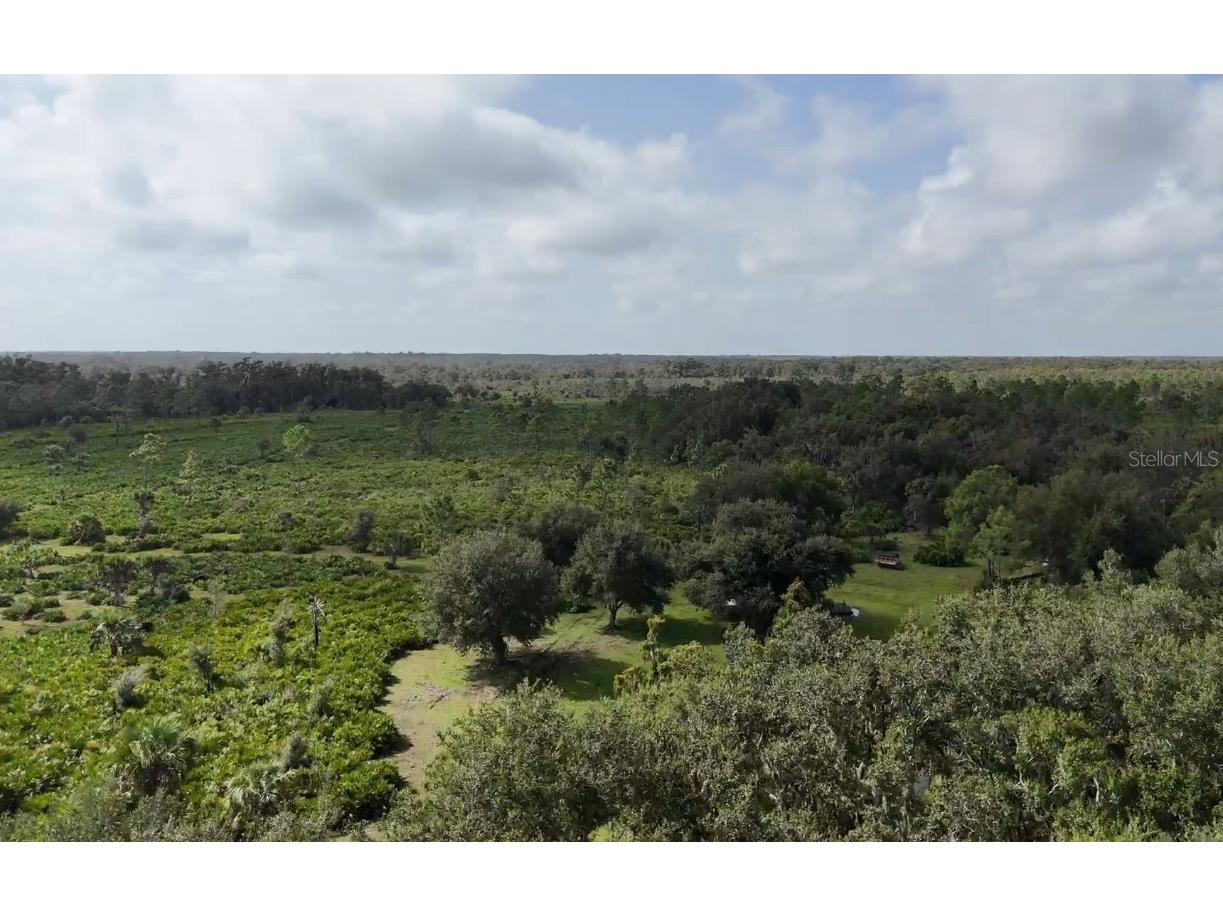 SW Addison Avenue #A Arcadia FL 34266 - PEACE RIVER C7498337 image3