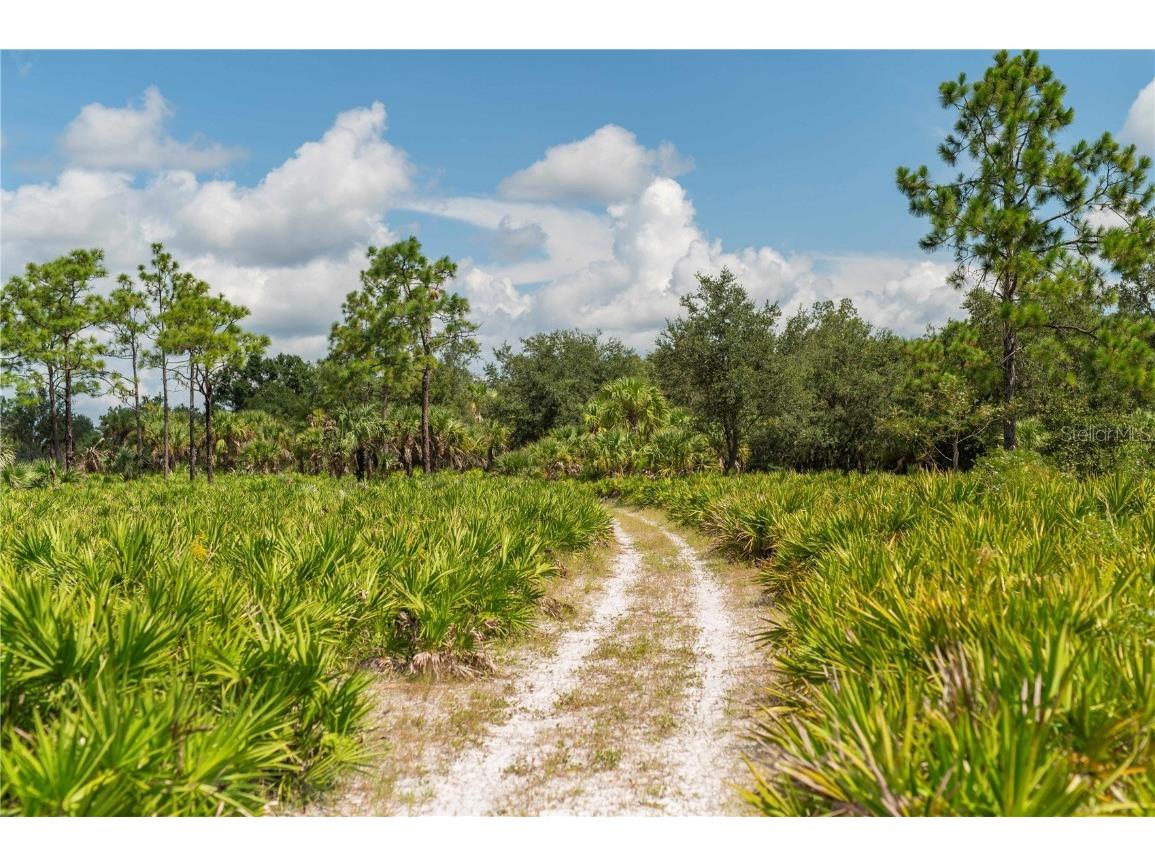 SW Addison Avenue #A Arcadia FL 34266 - PEACE RIVER C7498337 image6