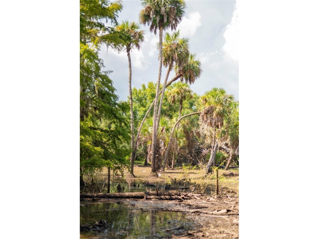 SW Addison Avenue #A Arcadia FL 34266 - PEACE RIVER C7498337 image9