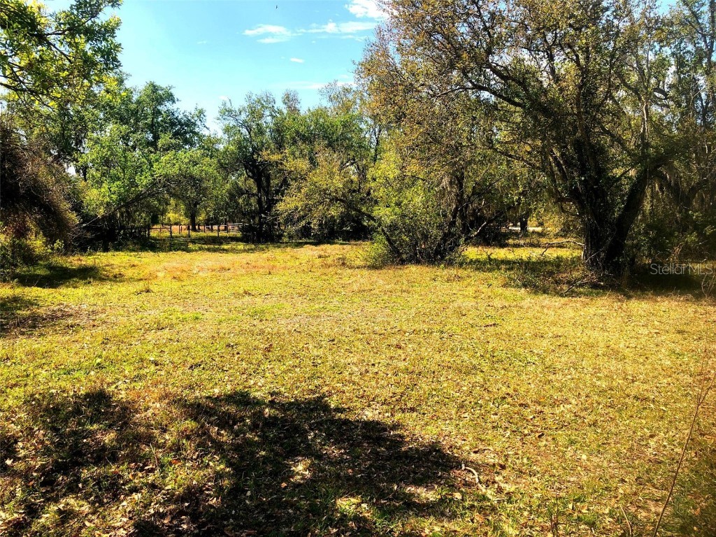 SW Addison Avenue Arcadia FL 34266 D6139981 image1